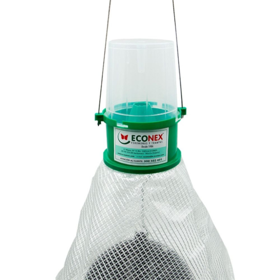 Piège contre les taons