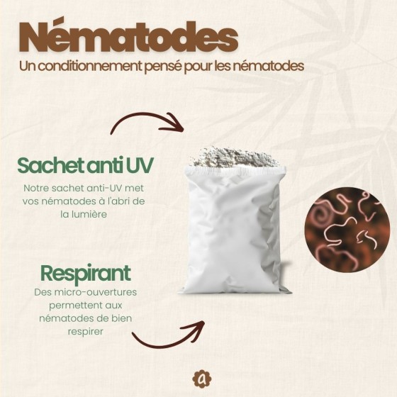 Nématodes SF contre mouches des terreaux - 25 millions - 50 m²