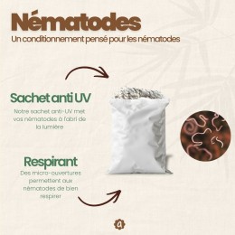 Nématodes SC contre capnode du pêcher - 250 millions - 50 arbres