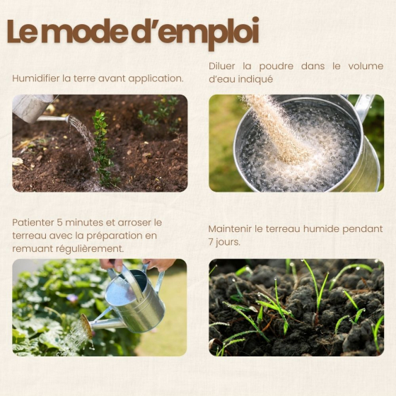 Nématodes SC contre vers gris - 250 millions - 500 m²