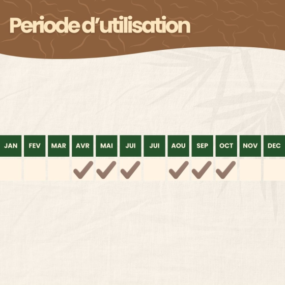 Nématodes HB contre vers blancs et hannetons - 100 millions - 200 m²