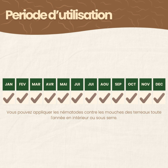 Nématodes SF contre mouches des terreaux - 250 millions - 500 m²