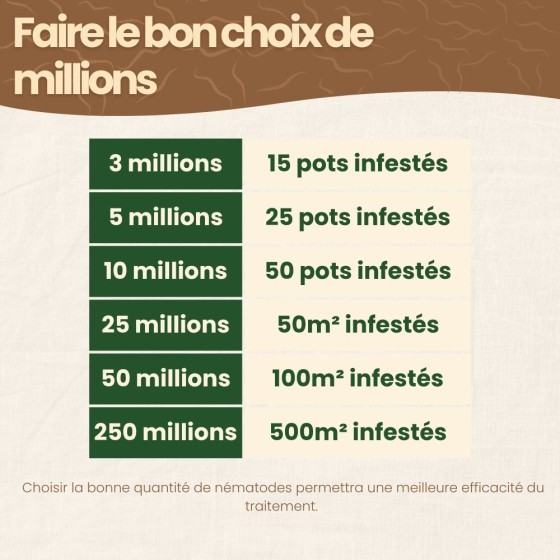 Nématodes SF contre mouches des terreaux - 10 millions - 50 pots