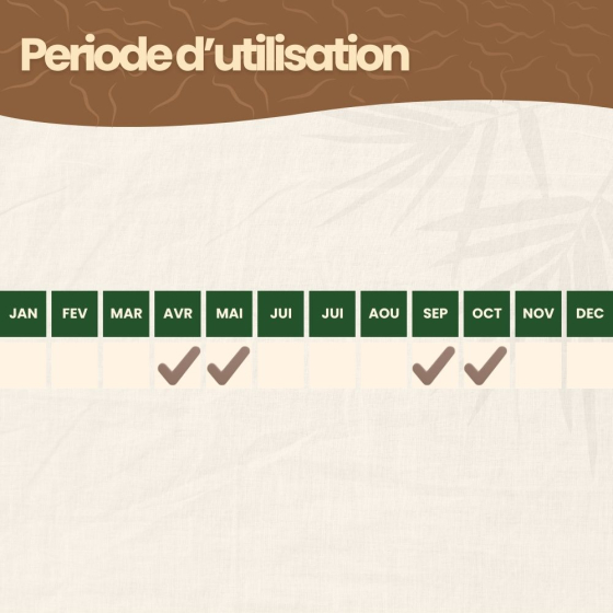 Nématodes HB contre otiorhynques - 100 millions - 200 m²
