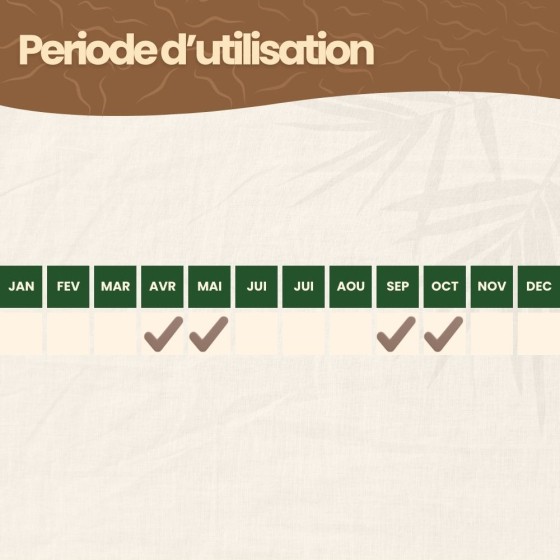 Nématodes HB contre otiorhynques - 100 millions - 200 m²