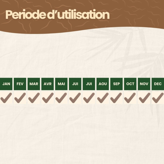 Nématodes SF contre thrips - 250 millions - 500 m²