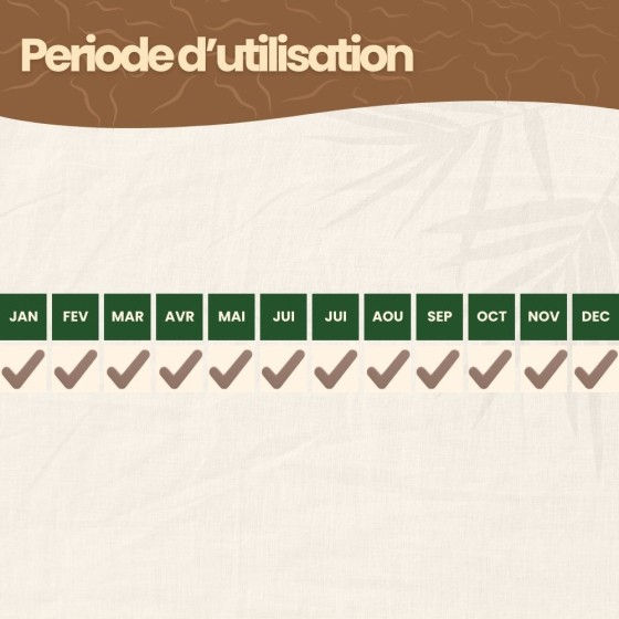 Nématodes SF contre fourmis - 100 millions - 200 m²
