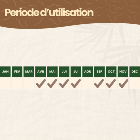 Nématodes SF contre carpocapses de la pomme, poire et noix - 100M - 40 arbres