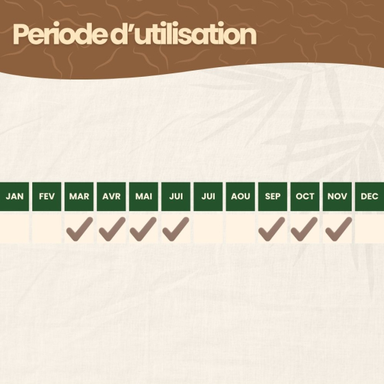 Nématodes SC contre charançon rouge du palmier - 50 millions - 2 à 4 palmiers