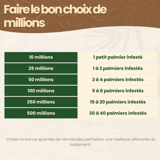 Nématodes SC contre charançon rouge du palmier - 500 millions - 30 à 40 palmiers