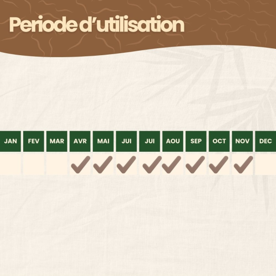 Nématodes SC contre pyrale du buis - 250 millions - 250 mètres de haie