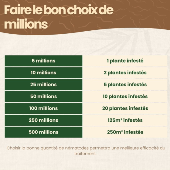 Nématodes SC contre charançon de l'agave - 25 millions - 5 plantes