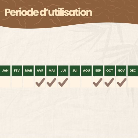 Nématodes SC contre vers gris - 5 millions - 10 m²