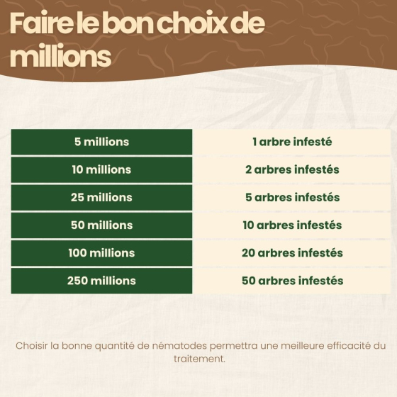 Nématodes SC contre capnode du pêcher - 250 millions - 50 arbres