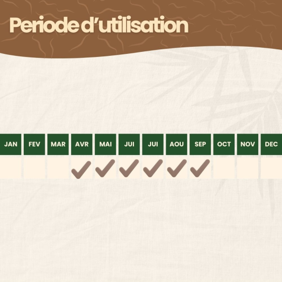 Nématodes SC contre doryphore de la pomme de terre - 10 millions - 20 m²