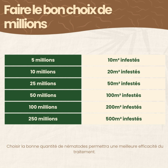 Nématodes SC contre doryphore de la pomme de terre - 50 millions - 100 m²