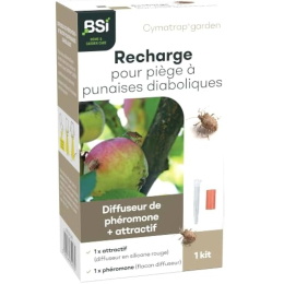 CYMATRAP - recharge pour piège à punaises diaboliques (1+1)