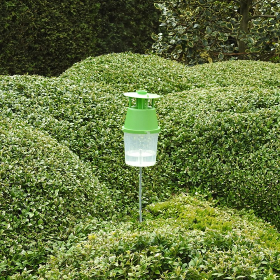 2 Pièges à phéromones Pyrale du Buis (Phéromones incluses)