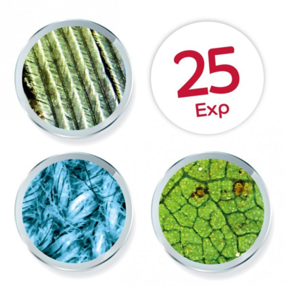 Microscope Vidéo 200-1000X - Eclairage LED