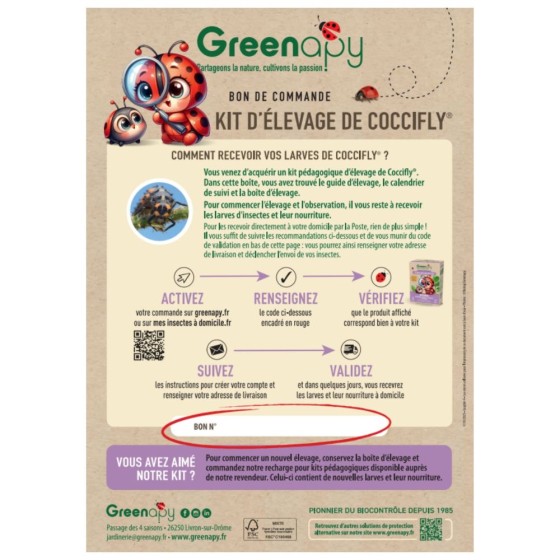 Kit d'élevage de coccinelles - Bon pour larves