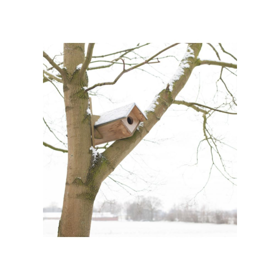 Nichoir chevêche d'athéna - Seconde vie