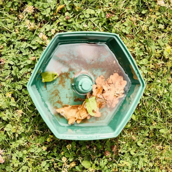 Piège à moustiques x 2 Hexa catch