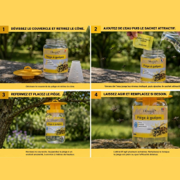 Piège à guêpes avec 100 ml d'attractifs