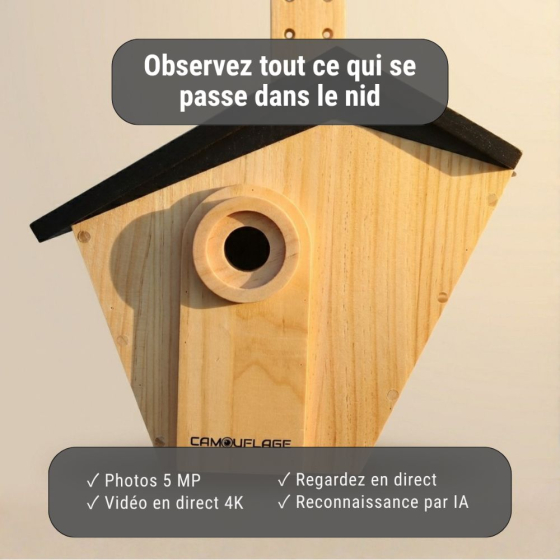 Nichoir camouflage connectée EZ Birdbox