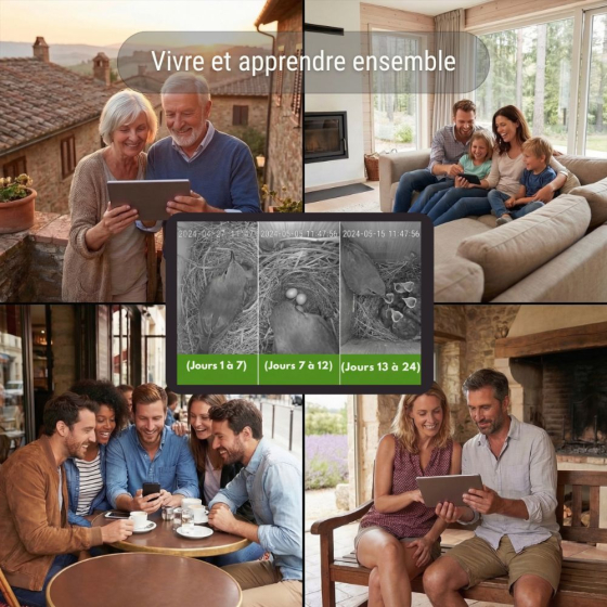Nichoir camouflage connectée EZ Birdbox