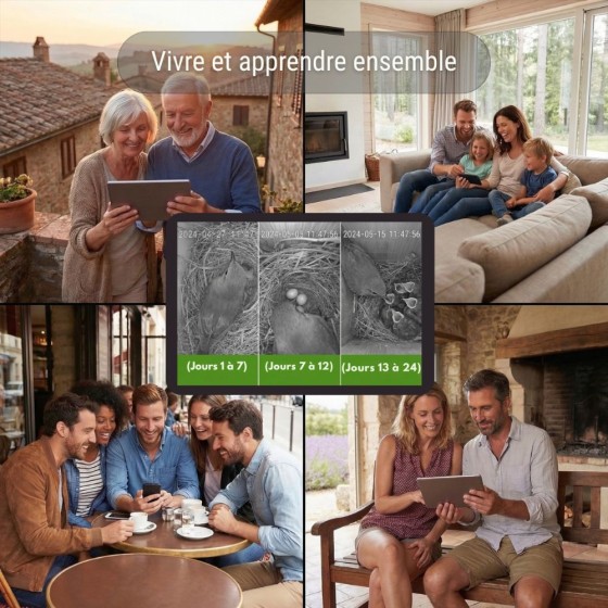 Nichoir camouflage connectée EZ Birdbox