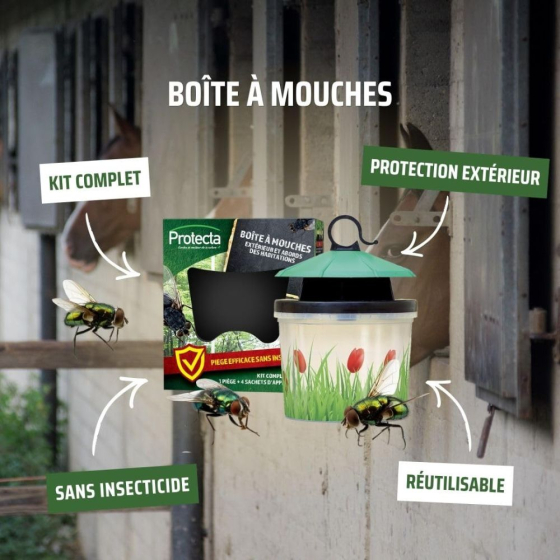 Boîte à mouches : piège écologique