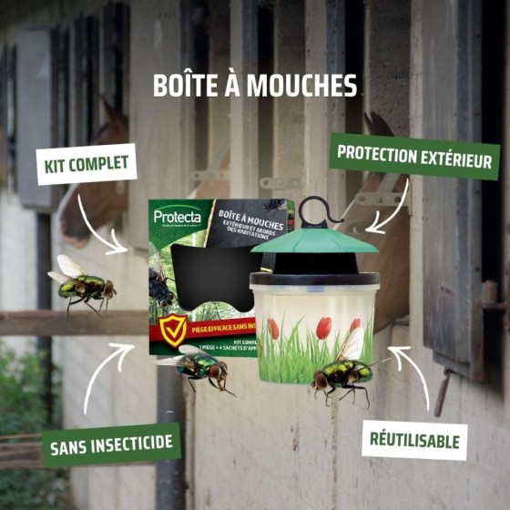 Boîte à mouches : piège écologique