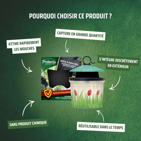 Boîte à mouches : piège écologique