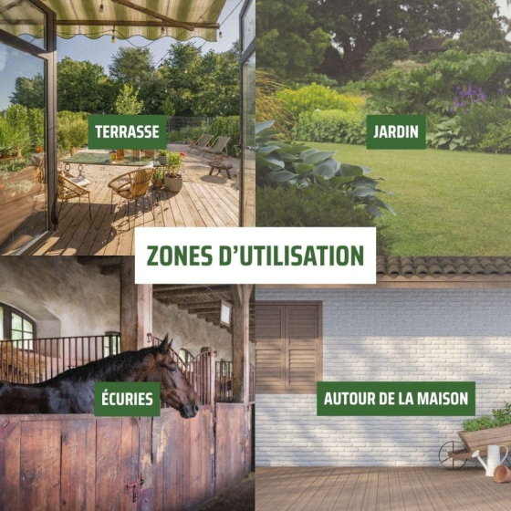 Boîte à mouches : piège écologique