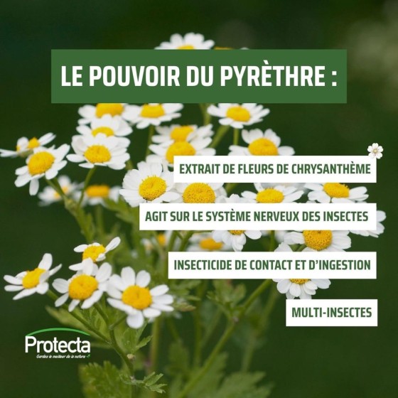 Aérosol pour diffuseur automatique au pyrèthre - 250 ML