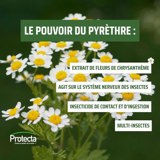 Lot de 6 recharges pour diffuseur d'insecticides