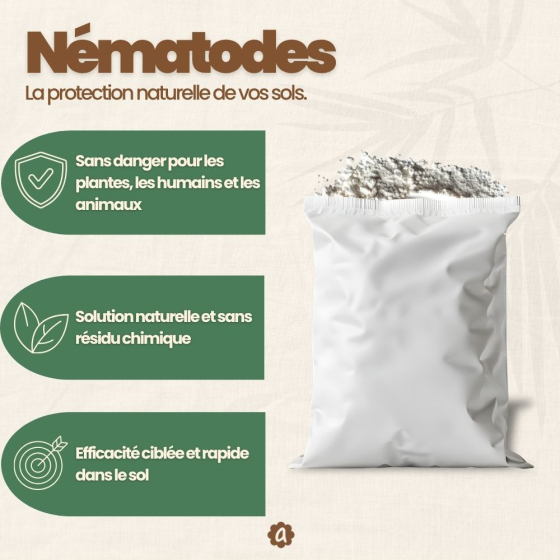 Nématodes SF contre mouches des terreaux (5 millions) + 10x pièges jaunes