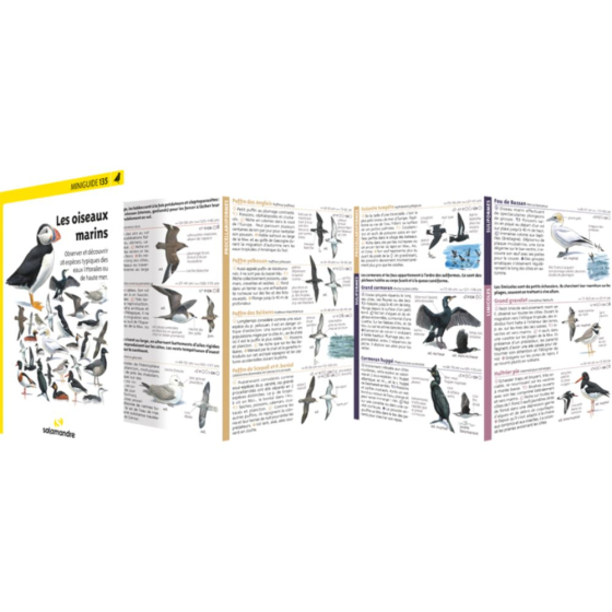 Miniguide 135 - Les oiseaux marins
