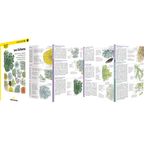 Miniguide 136 - Les lichens