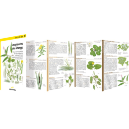 Miniguide 138 - Les plantes des étangs