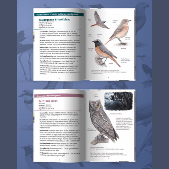 Les petits livres de la nature - Oiseaux migrateurs