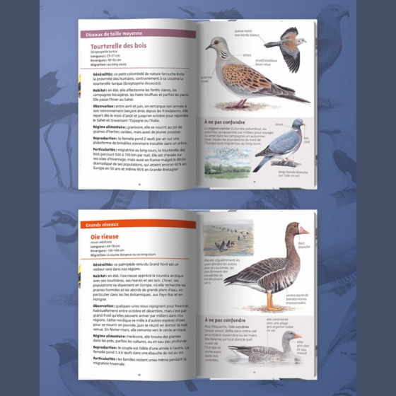 Les petits livres de la nature - Oiseaux migrateurs