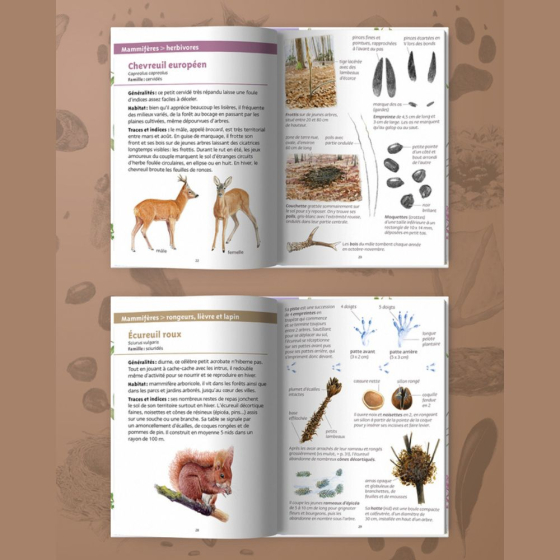 Les petits livres de la nature - Traces d'animaux