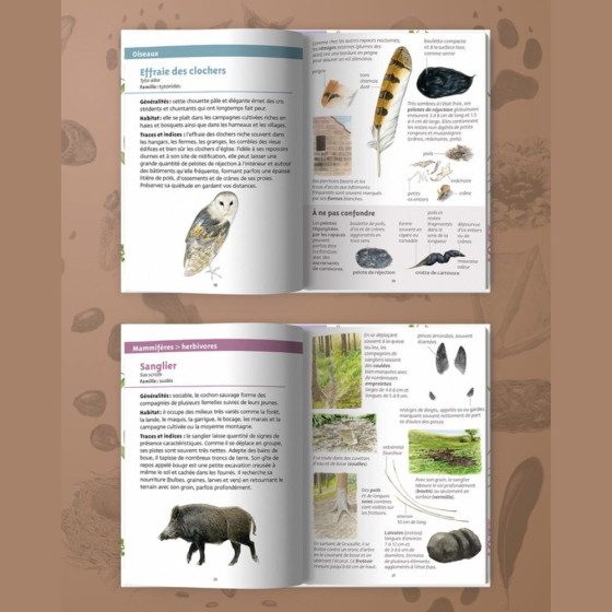 Les petits livres de la nature - Traces d'animaux
