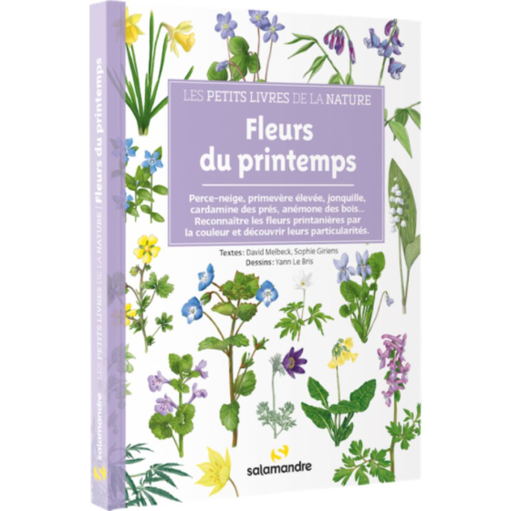 Les petits livres de la nature - Fleurs du printemps