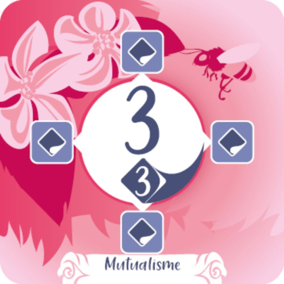 Jeu Nature Intercations