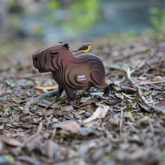 Capybara – Eugy 3D