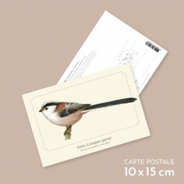 Orite à longue queue - Carte postale pédagogique