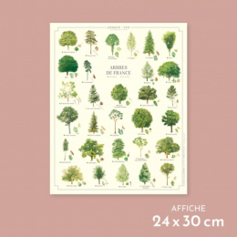 Arbres de France - Affiche 24 x 30 cm