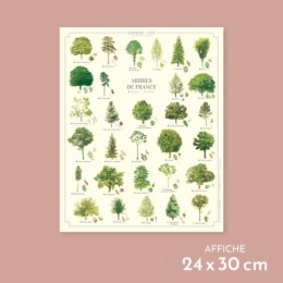 Arbres de France - Affiche 24 x 30 cm